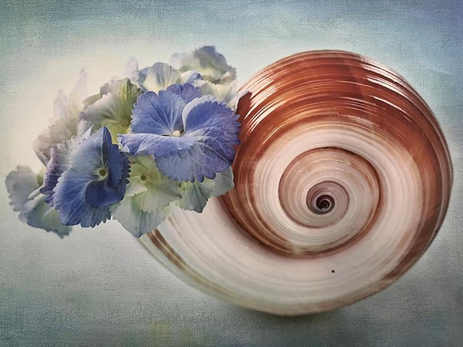 Casa Blue Flower - Bright & Breezy Home フィスカルドン エクステリア 写真
